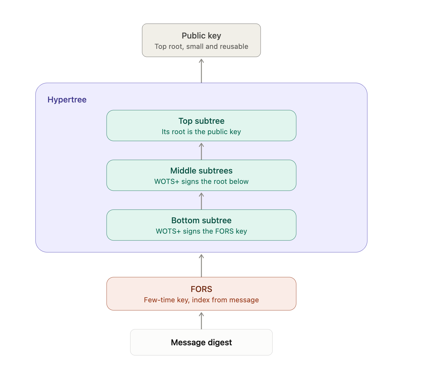 The SLH-DSA structure: FORS at the base signing the message digest, WOTS+ signing each layer above it, and a hypertree chaining up to a single reusable public key.